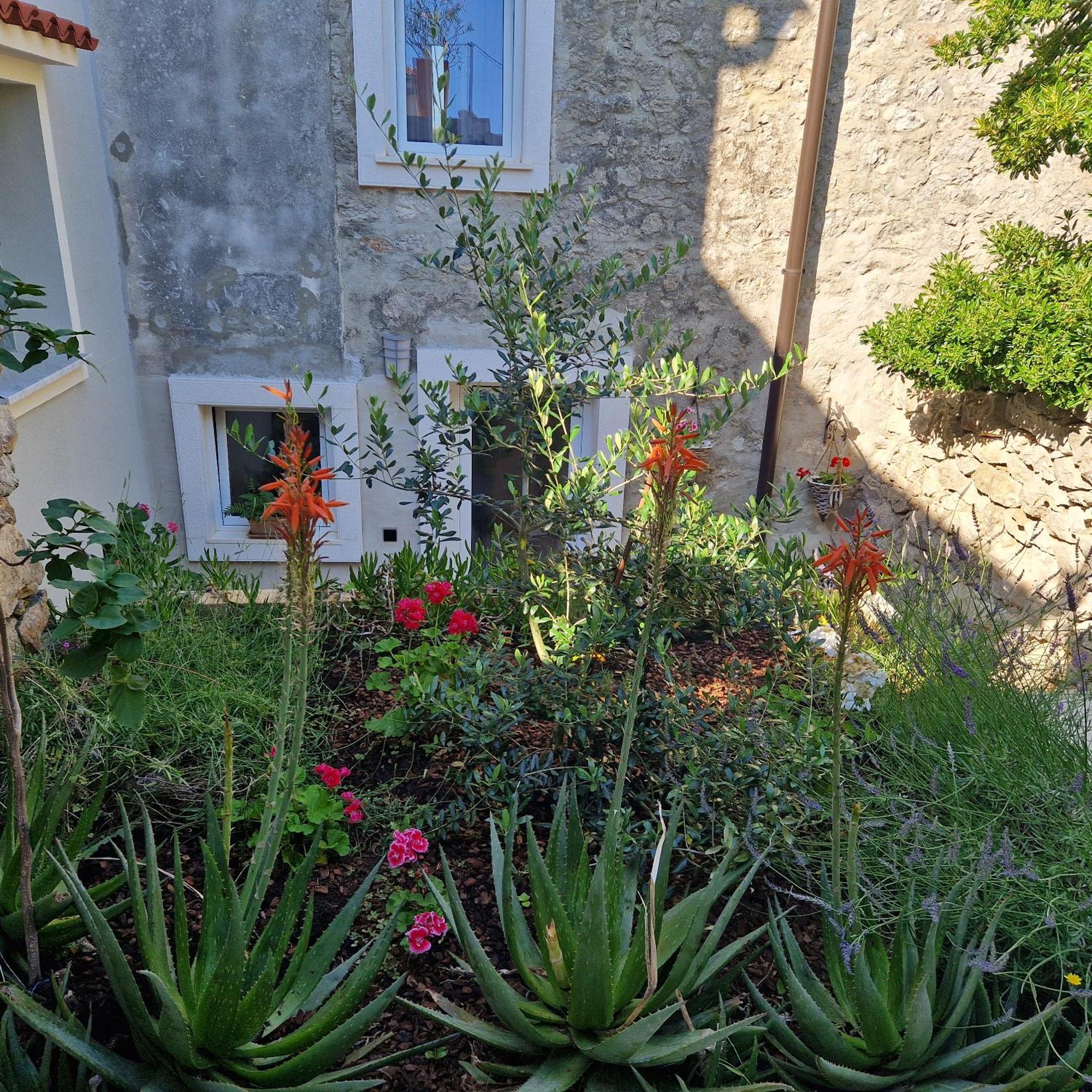 Castel Apartment Mali Losinj Luaran gambar